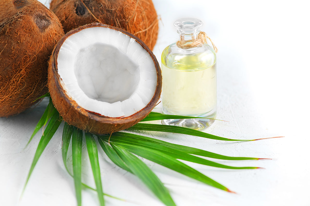 Understanding the Benefits of Coconut Oil