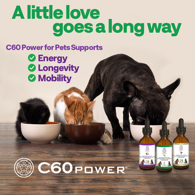 C60 Power for Pets - Organic Avocado Oil