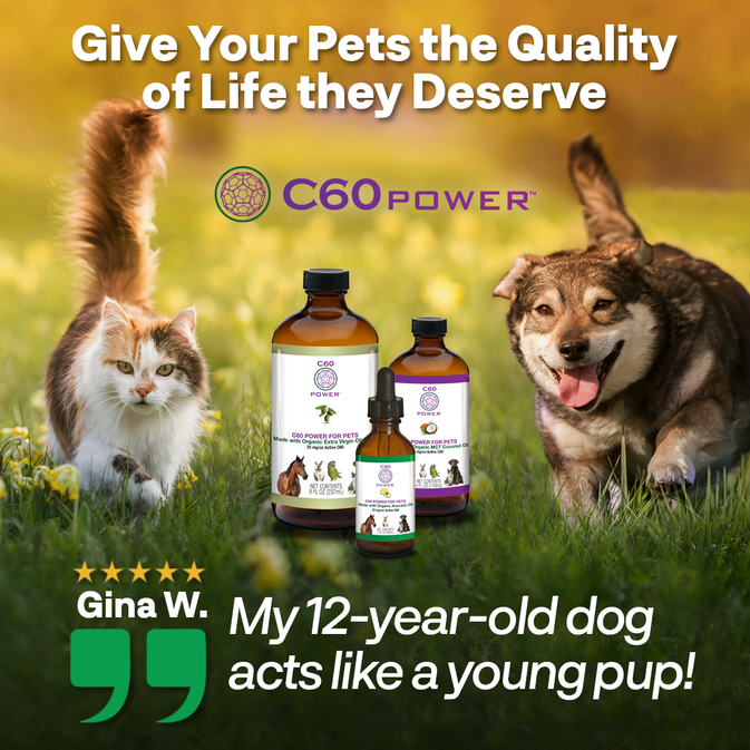 C60 Power for Pets - Organic Avocado Oil