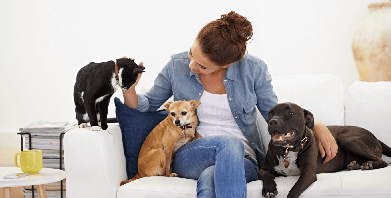 c60 for pets